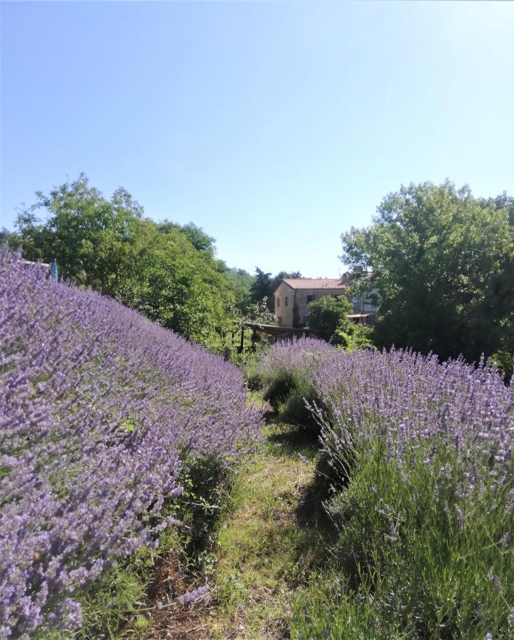 Le Ginestre Apartments Assisi Luaran gambar