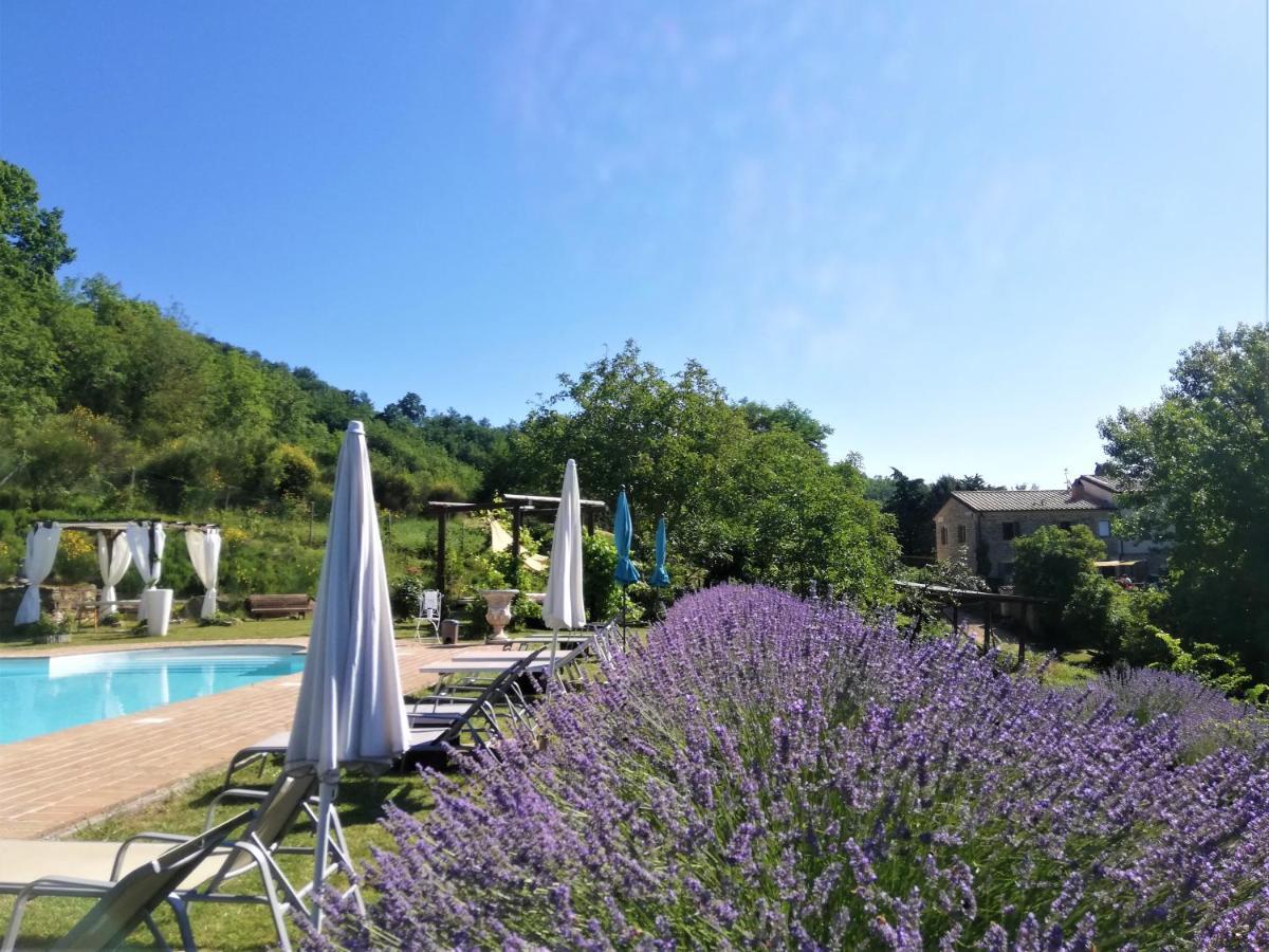 Le Ginestre Apartments Assisi Luaran gambar