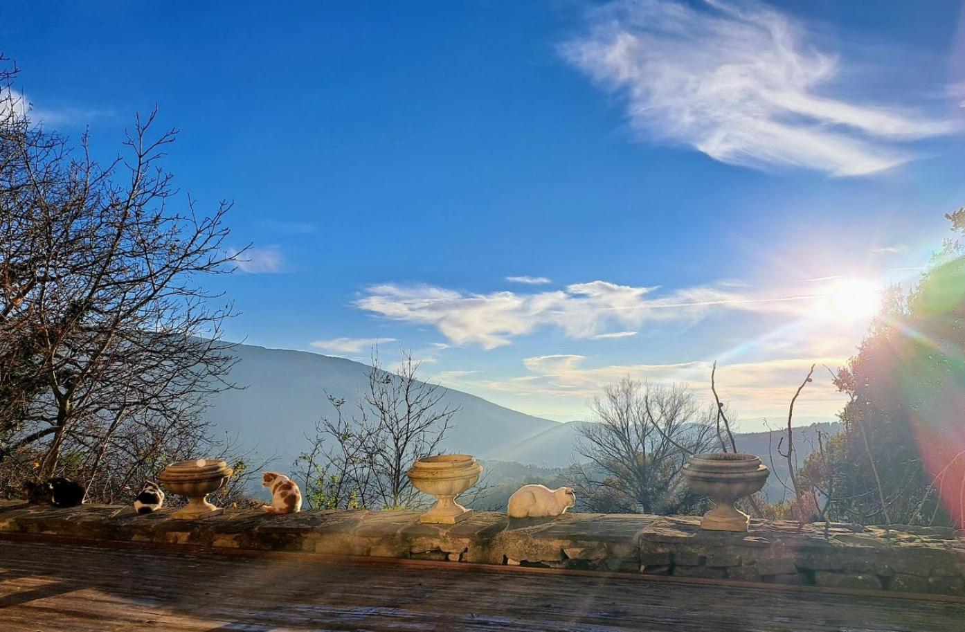Le Ginestre Apartments Assisi Luaran gambar